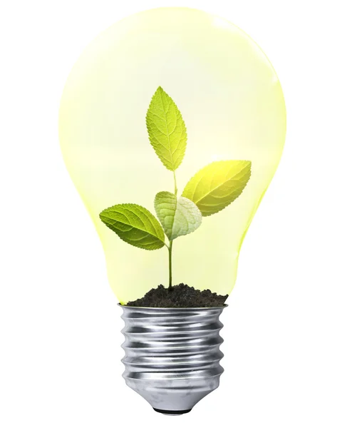 Green energy — Stock Photo, Image