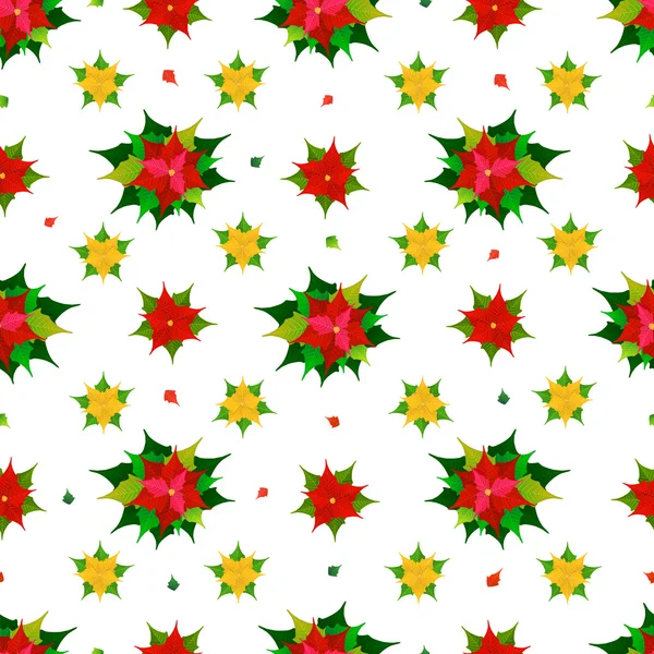 Julstjärna blommor — Stock vektor