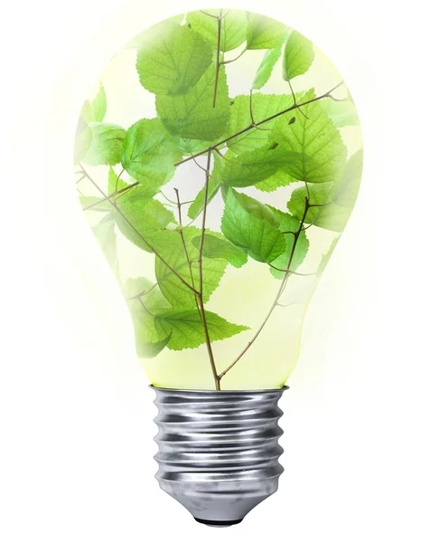 Green energy — Stock Photo, Image