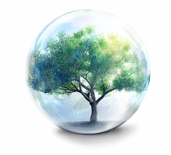 Tree in glass ball — Stock Photo, Image