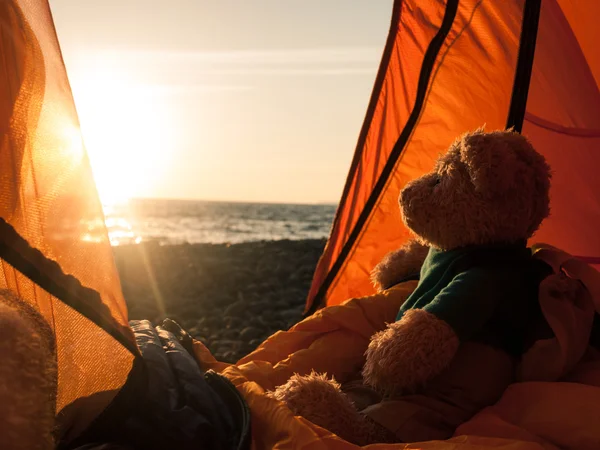 Camping near the sea — Stock Photo, Image