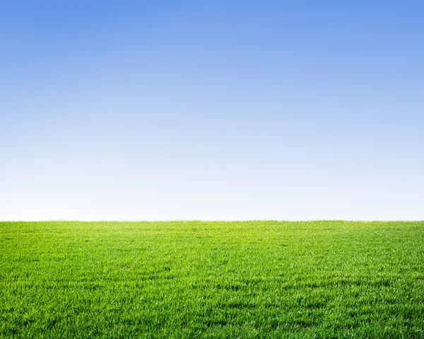 Zomer landschap — Stockfoto