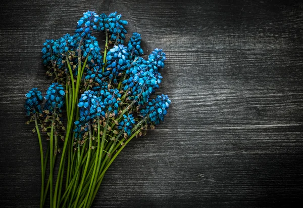 꽃으로 뒤덮인 빈티지 배경 — 스톡 사진