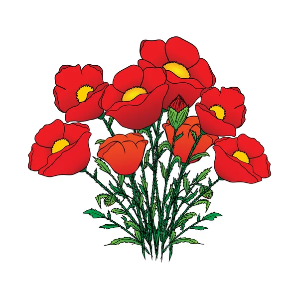 Flores de amapola — Vector de stock