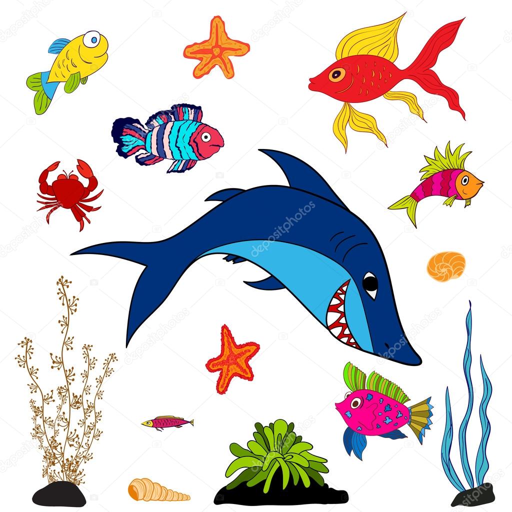 fishes and sea animals