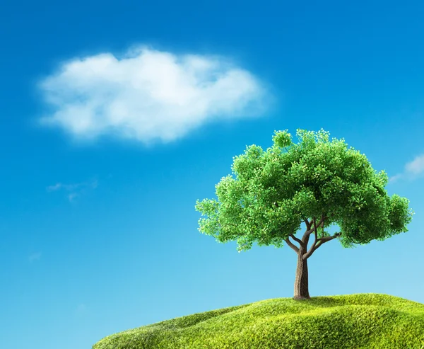Grüner Baum auf der Wiese — Stockfoto