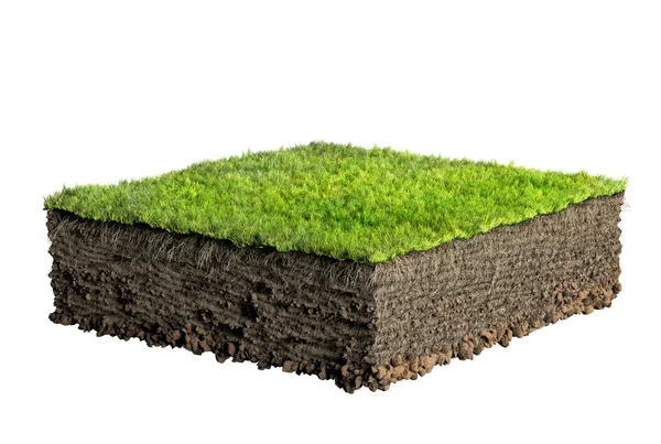 Grass and soil profile — Stock Photo, Image