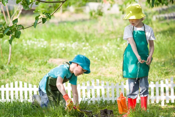 Børn havearbejde og vanding - Stock-foto