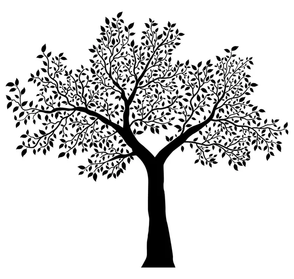 Дерево с листьями — стоковый вектор