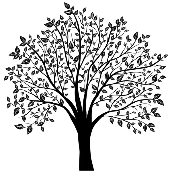 Drzewo z liśćmi wektor — Wektor stockowy