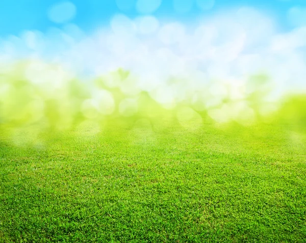 Grass background — Stock Photo, Image