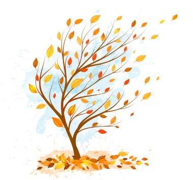 sonbaharda bir ağacın