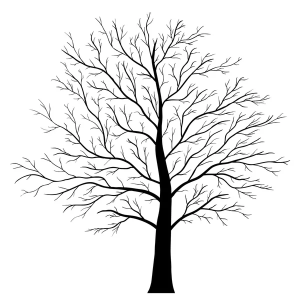 Un árbol aislado — Vector de stock
