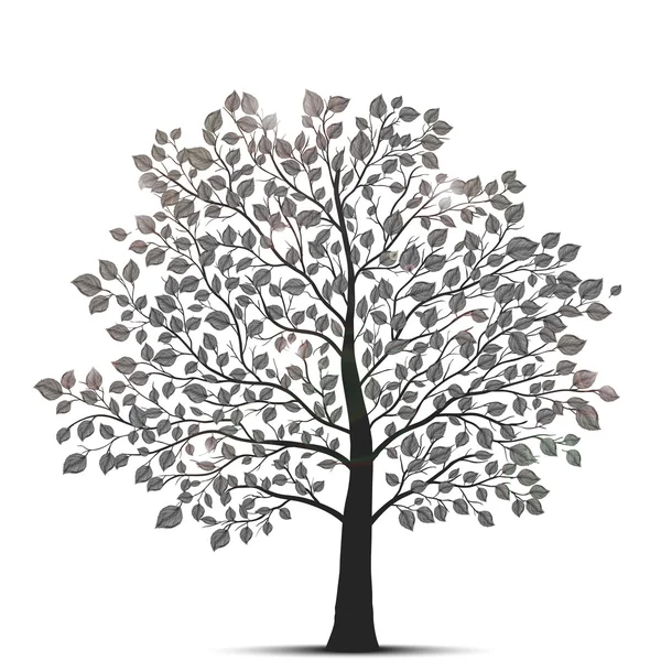 Un árbol aislado — Vector de stock