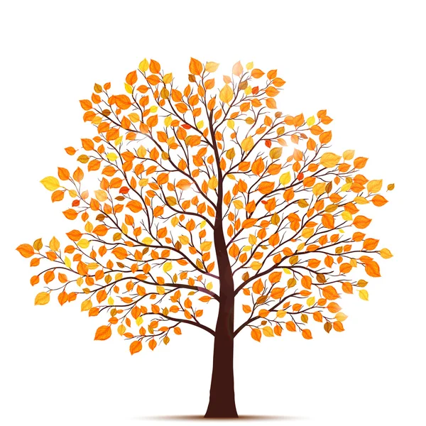 Un árbol de otoño — Vector de stock