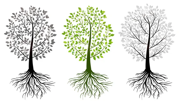 Zelené stromy izolované — Stockový vektor