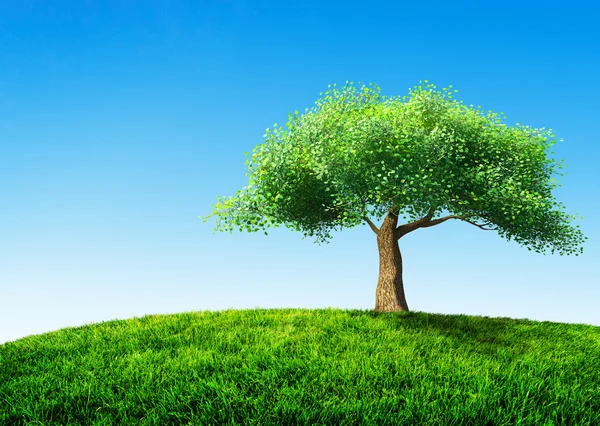 Träd med gräs — Stockfoto