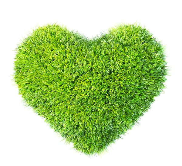 Green leaves in heart shape — Stock Photo, Image