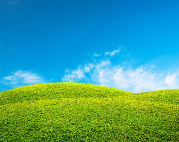 Verde paesaggio primaverile — Foto Stock