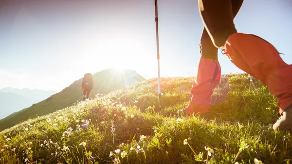 Escursioni in montagna — Foto Stock