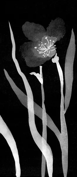 Χαριτωμένο floral φόντο. ακουαρέλα παπαρούνες — Φωτογραφία Αρχείου