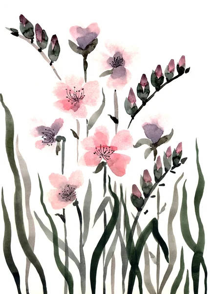 Ładny tle kwiatów. akwarela Maki — Zdjęcie stockowe