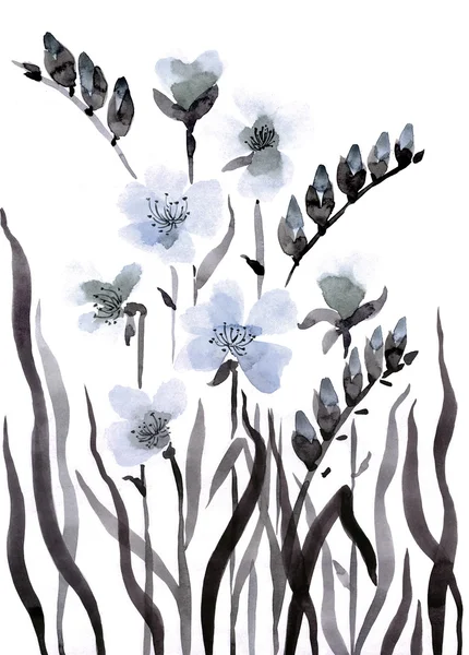 Aranyos virág háttér. Akvarell Pipacsok — Stock Fotó