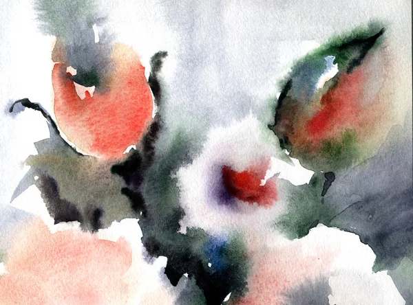 Cute floral background. Watercolor poppies — Stock Photo, Image