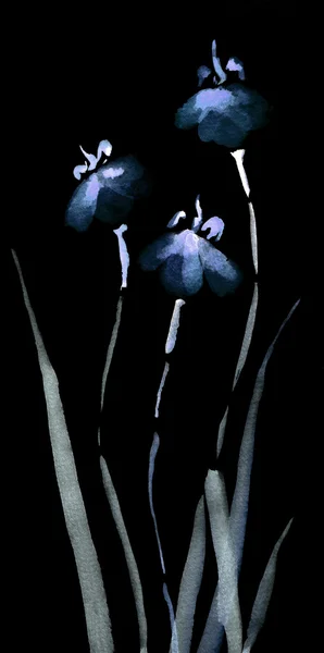 可爱的花卉背景。中国水彩鸢尾花 — 图库照片