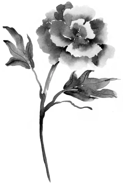Fundo floral bonito. Papoula aquarela — Fotografia de Stock