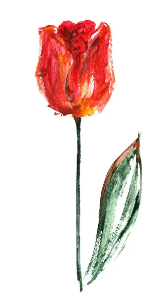 Tulipa pintado mãos — Fotografia de Stock