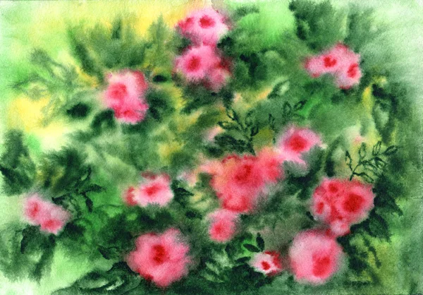 Achtergrond met een bloemen, aquarel steeg bush — Stockfoto