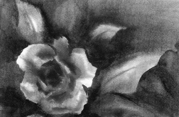 水彩背景与玫瑰花蕾 — 图库照片