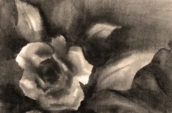 rosebud ile suluboya arka plan