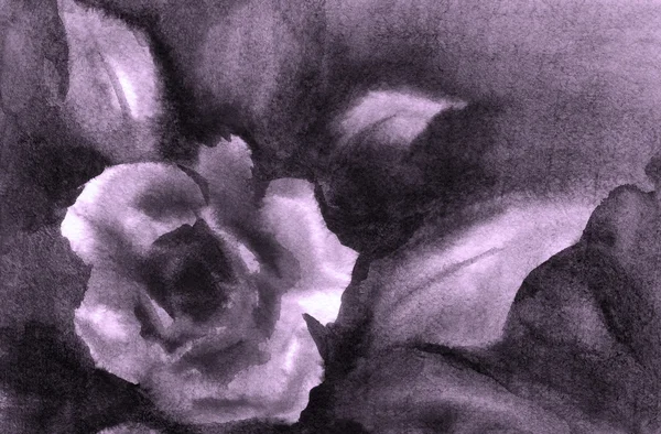 Vesiväri tausta ruusunnuppu — kuvapankkivalokuva