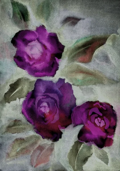 Fundo aquarela colorido com rosas Imagem De Stock