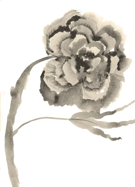 Lindo fondo floral. Acuarela amapola —  Fotos de Stock