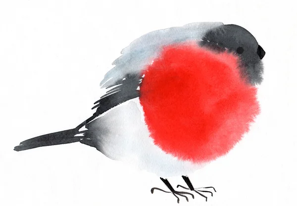 Acquerello uccello bullfinch — Foto Stock