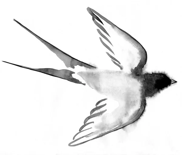 Suluboya kuş yutar — Stok fotoğraf
