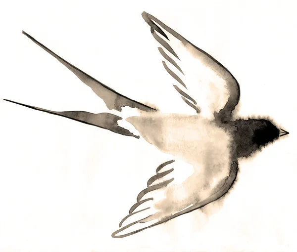Watercolor bird swallows — Stock Photo, Image