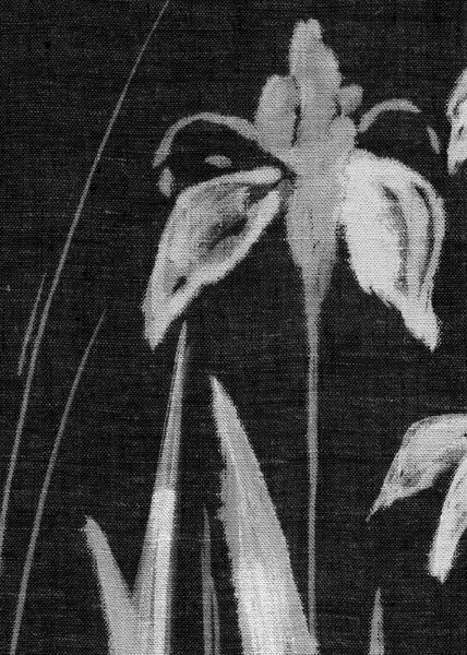 Handgemaakte bloem schilderij op linnen. Iris — Stockfoto