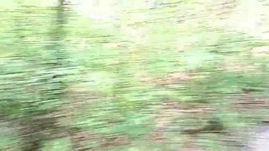 Soyut anlamsız kompozisyon. Hareket var. Yeşil, siyah ve beyaz noktalar keyfi bir kaotik ritimle titreşiyor. Substrat, arka plan. Video sanatı grafikleri.