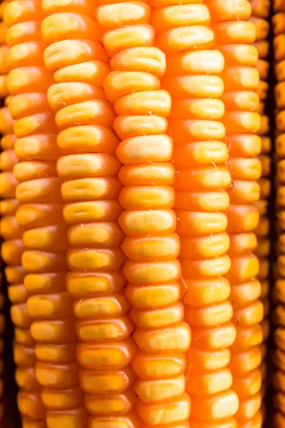 Costela de milho amarelo — Fotografia de Stock