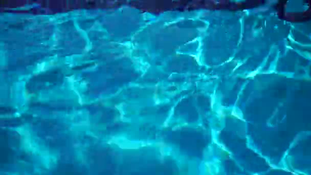 수영장에서 물 리플 — 비디오