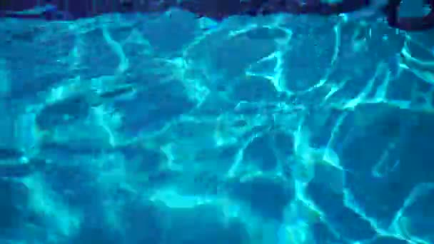 Ripple water in swimming pool — Stock Video