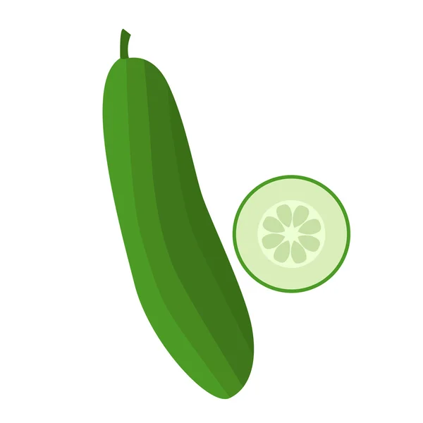 Ilustración de pepino fresco — Vector de stock