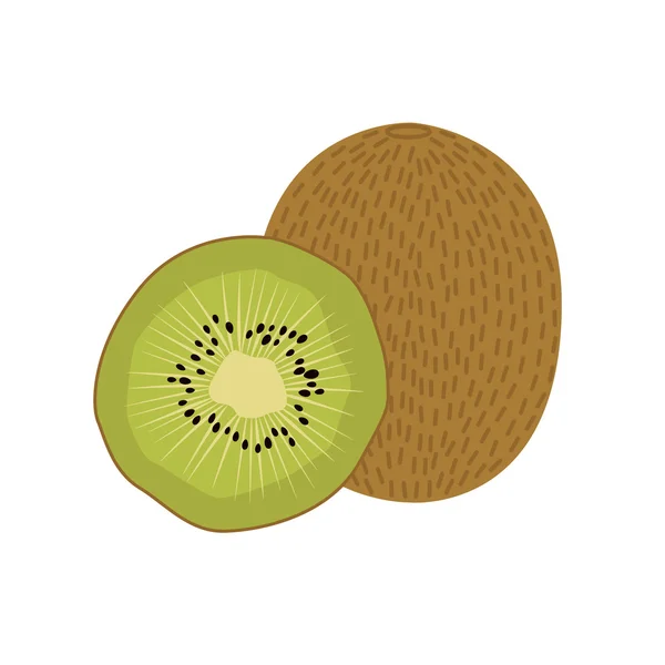 Kiwi fruit illustratie — Stockvector