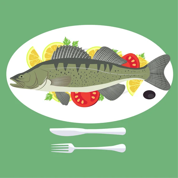 Grilled Zander Perch fish — Stock Vector