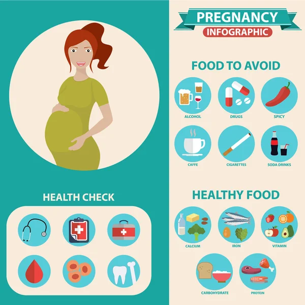 Pregnancy and birth infographics — Stock Vector