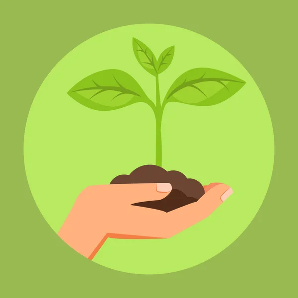 Ilustração da mão humana segurando verde pequena planta. Imagem para folhetos, banners, flayers, artigo e mídia social . —  Vetores de Stock